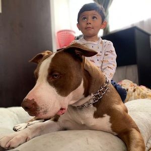 Meet your Posher, William